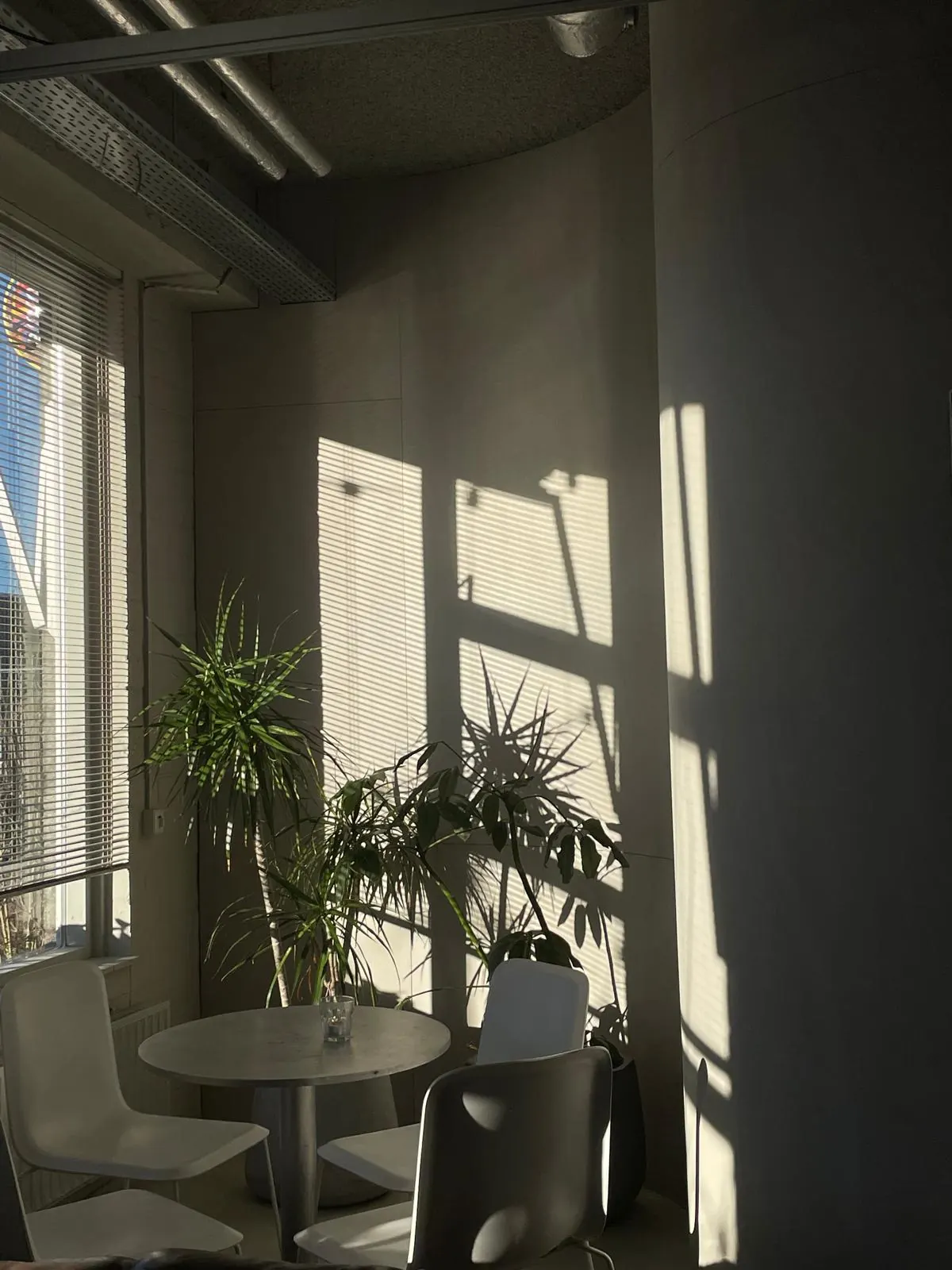 Daglicht in de ruimte, Borisov Amsterdam