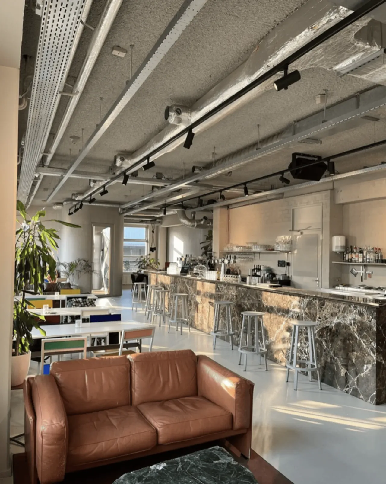Zitten aan de bar, Borisov Amsterdam