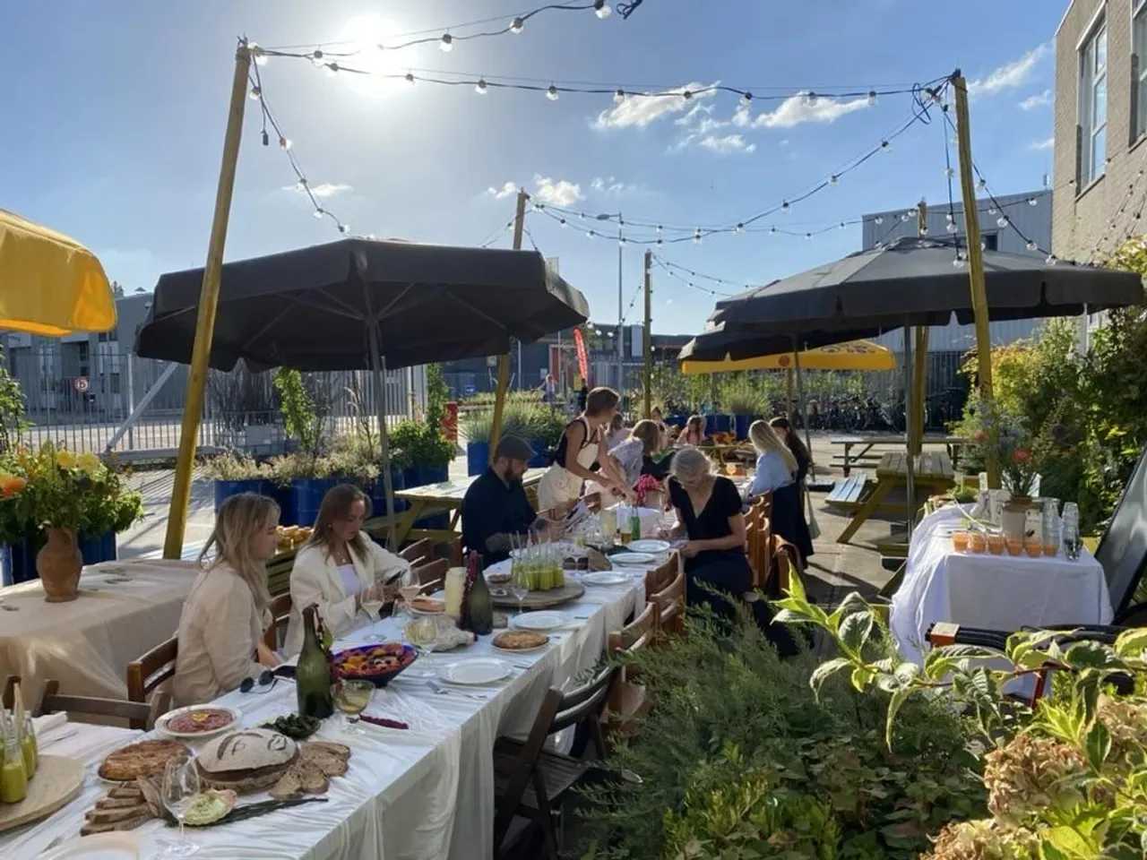 Terrace Borisov Amsterdam